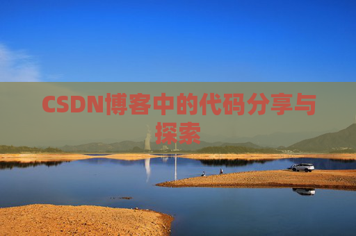 CSDN博客中的代码分享与探索